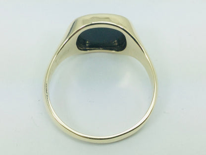 14k Yellow Gold Square Cut Bloodstone Ring